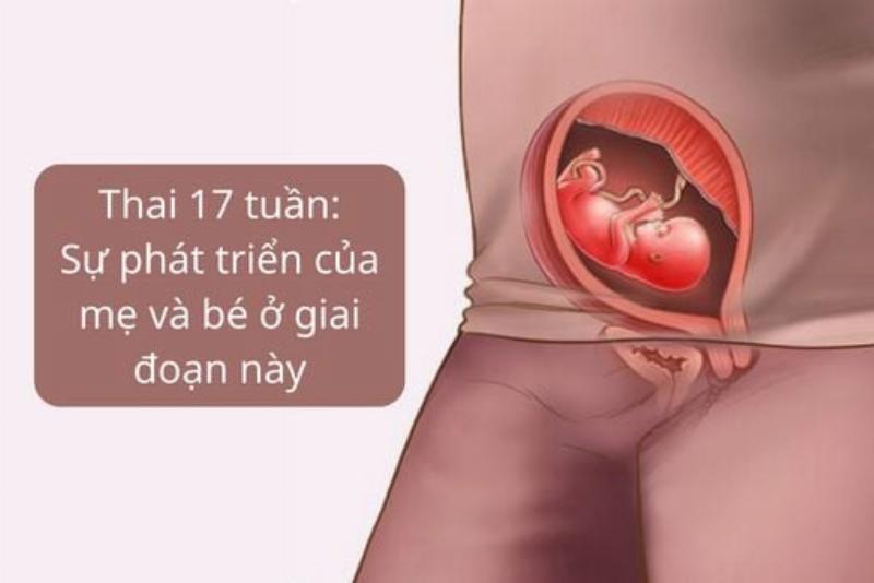 Dấu hiệu mang thai 17 tuần