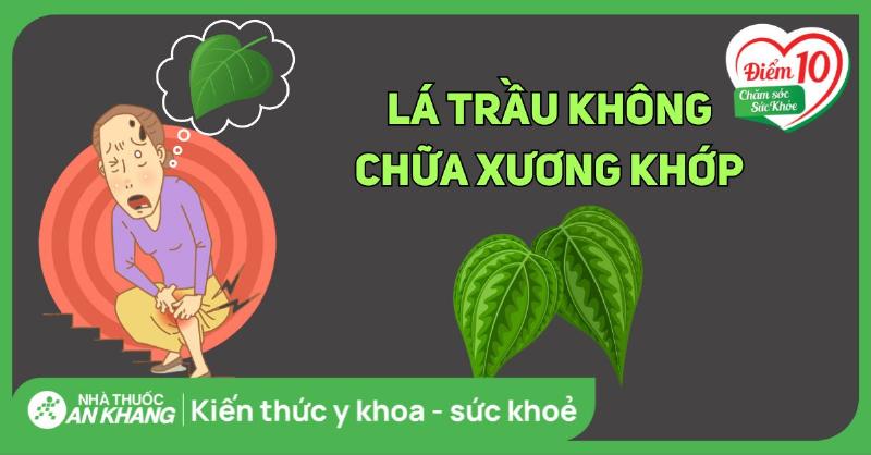 Lá trầu không và muối chữa đau lưng