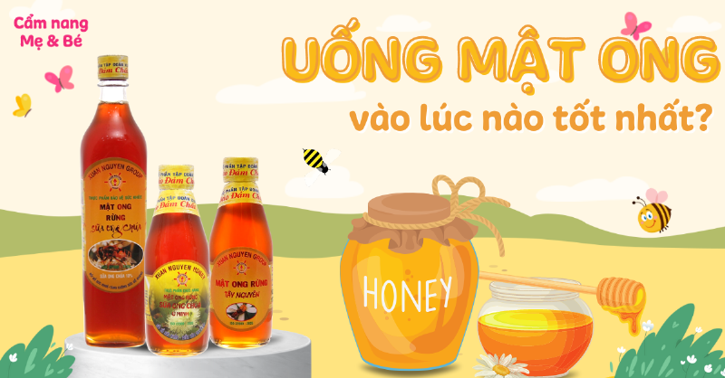 Mật Ong Trước Khi Tập Luyện