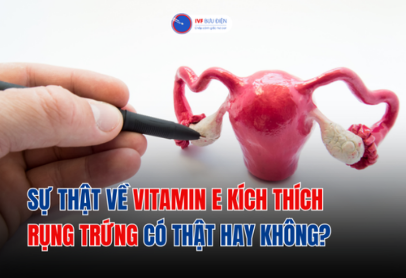 Vitamin E bảo vệ buồng trứng khỏi stress oxy hóa