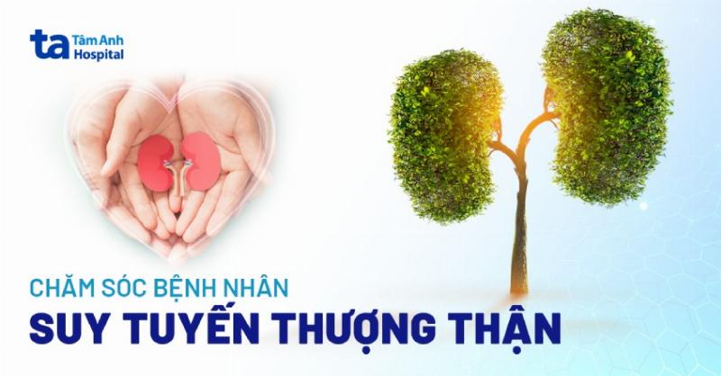 Thuốc Điều Trị Suy Tuyến Thượng Thận: Cẩm Nang Toàn Diện