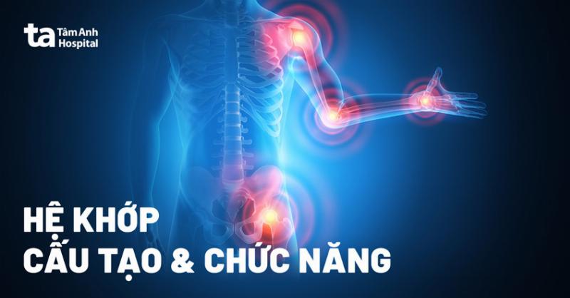 Cấu Tạo Xương Cổ Tay Tổng Quan