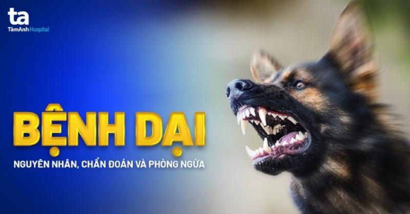 Dấu hiệu bệnh dại ở người