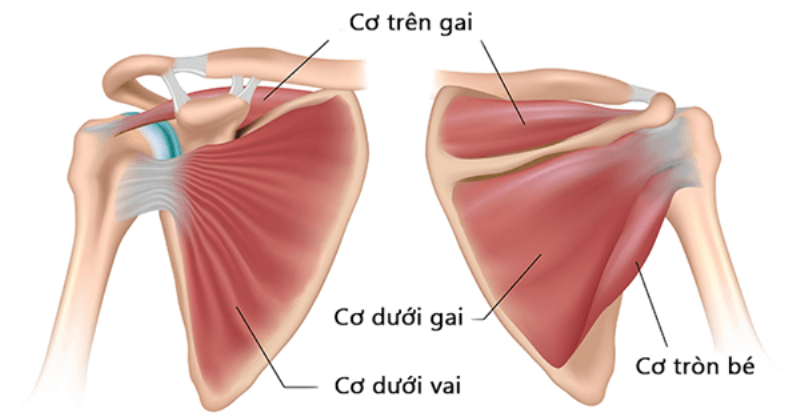 Nguyên nhân gây đau nhức xương tay