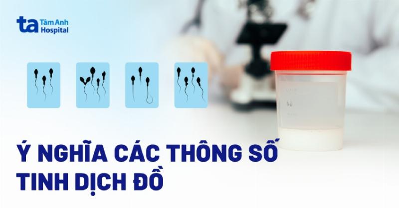 Khả năng di chuyển của tinh trùng bình thường