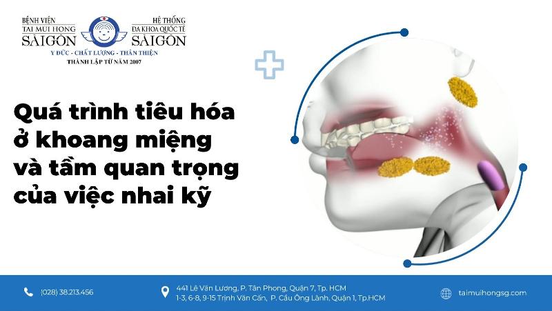 Quá Trình Tiêu Hóa Thức Ăn: Hành Trình Kỳ Diệu Của Cơ Thể