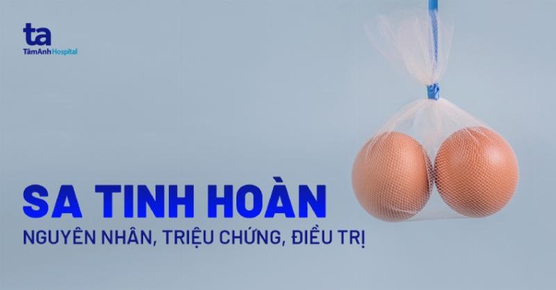 Ảnh minh họa tinh hoàn xệ do nhiệt độ