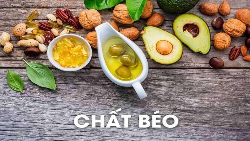 Ứng Dụng Của Chất Béo Trong Cơ Thể