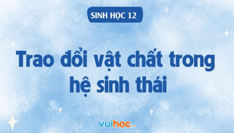 Bậc dinh dưỡng cấp 1 - Vi khuẩn