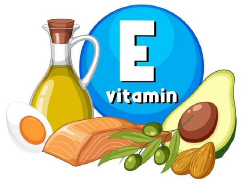 Các dạng vitamin E phổ biến