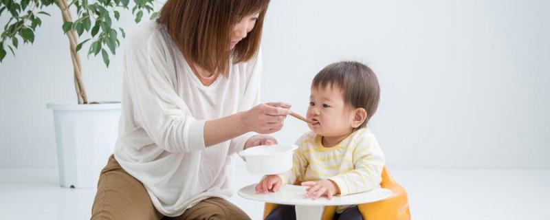 Tôm Nấu Gì Cho Bé Ăn Dặm: Thực Đơn Dinh Dưỡng Và Hấp Dẫn