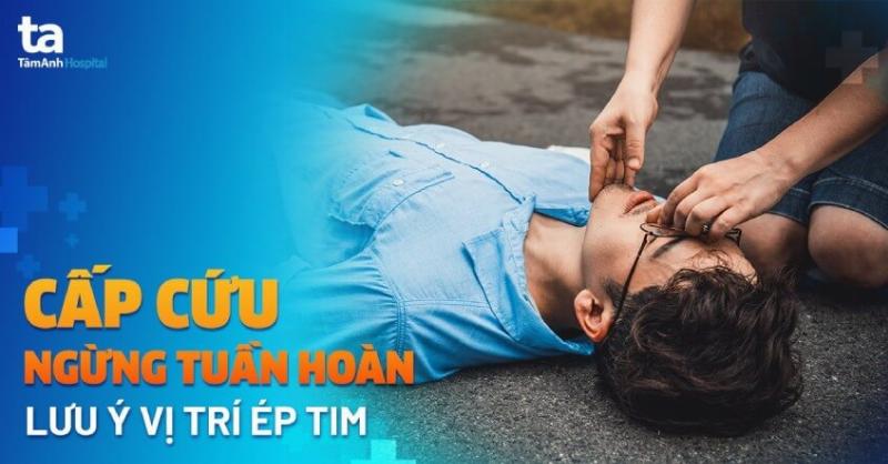 Vòng tuần hoàn giữa quang hợp và hô hấp