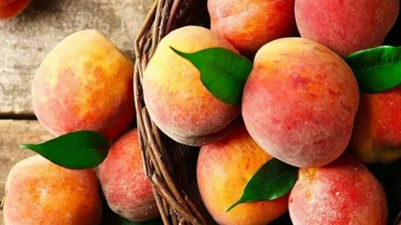 Bà Bầu Có Ăn Được Đào Không, Lợi Ích, Tác Hại, Lưu Ý Khi Ăn Đào Cho Bà Bầu