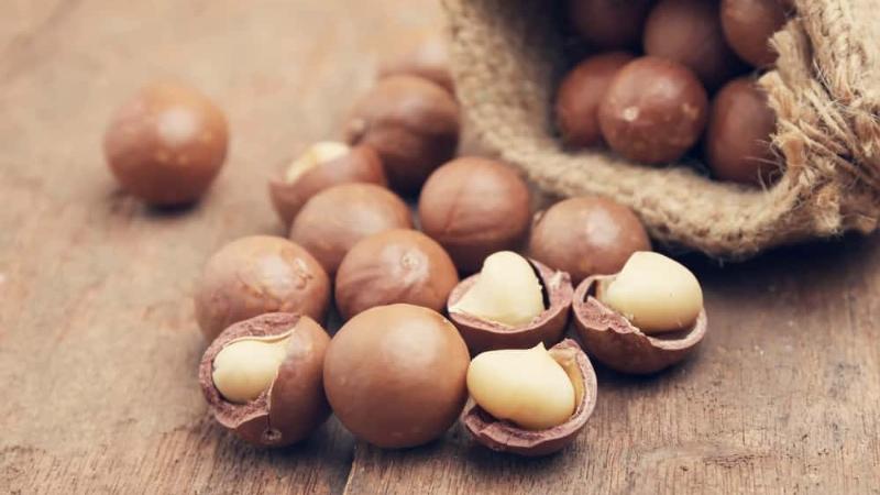 Bà Bầu Nên Ăn Hạt Macca Khi Nào, Lợi Ích, Lưu Ý và Cách Dùng