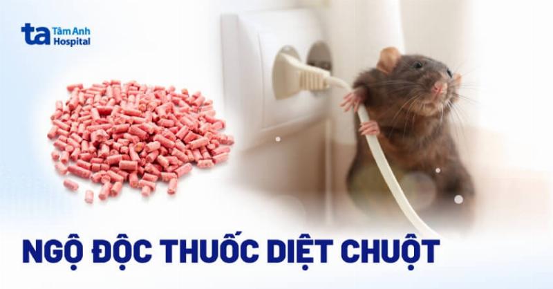 Nếu Cho Vật Nuôi Ăn Thừa Hoặc Thiếu Chất Dinh Dưỡng Thì Sẽ Xảy Ra Hiện Tượng Gì, Hậu Quả, Cách Khắc Phục