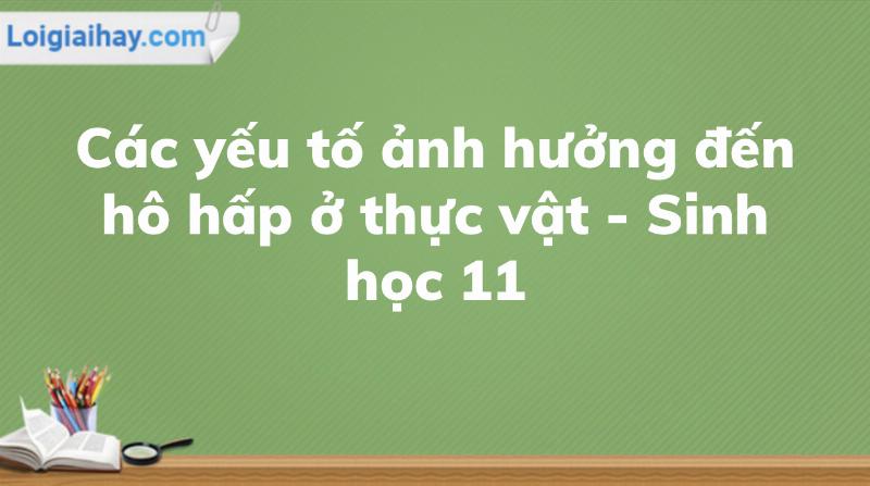 Các yếu tố ảnh hưởng đến hô hấp thực vật