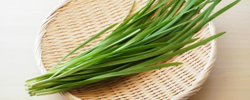 Lưu ý quan trọng khi hấp lá hẹ trị ho cho bé