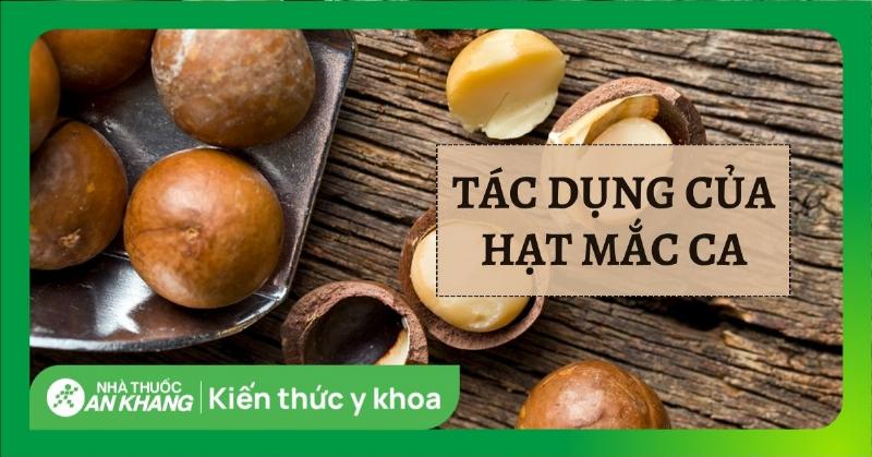 Lợi ích của hạt macca cho não bộ