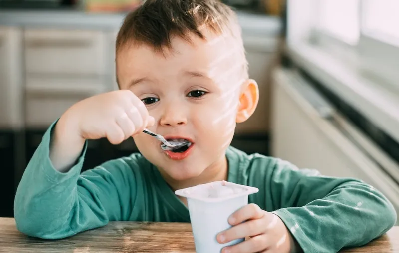 Có nên cho bé ăn sữa chua hàng ngày không? Lợi ích, Tác hại, Cách chọn và Lưu ý khi sử dụng