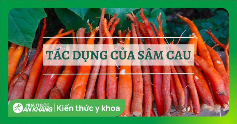 Rượu Sâm Cau Bổ Thận Tráng Dương