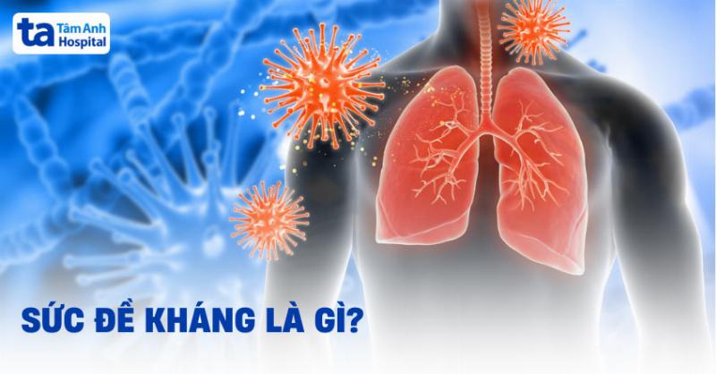 Tầm Quan Trọng Của Sức Khỏe Hô Hấp