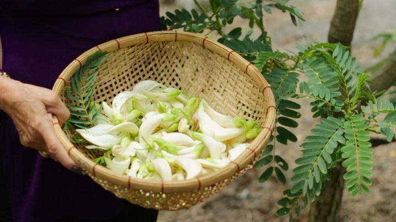 Bà Bầu Ăn Bông So Đũa Được Không, Lợi Ích, Tác Hại, Lưu Ý Khi Sử Dụng