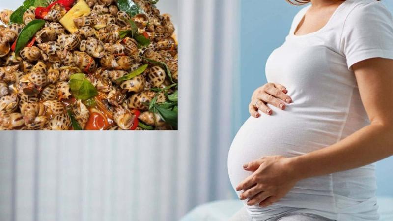 Mang Thai Có Được Ăn Ốc Không? Lợi Ích, Tác Hại, Lưu Ý Khi Ăn