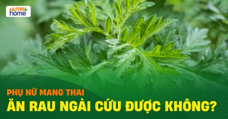 Bà Bầu Có Ăn Được Rau Ngải Cứu Không? Lợi Ích, Tác Hại và Lưu Ý Khi Sử Dụng, Cách Ăn An Toàn Cho Mẹ và Bé