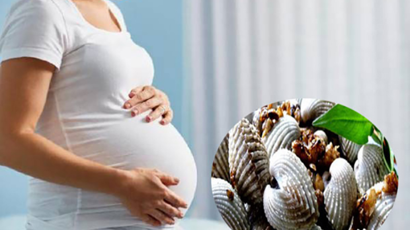 Bà Bầu Ăn Sò Huyết Được Không? Lợi Ích, Tác Hại, Lưu Ý và Cách Chế Biến