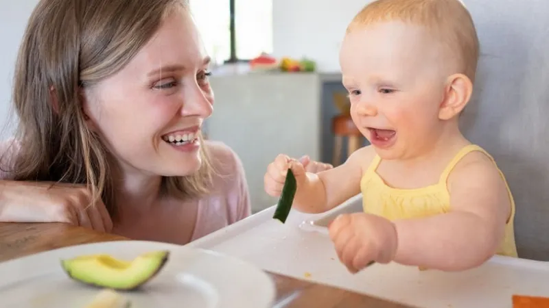 Nên Cho Bé Ăn Bơ Vào Lúc Nào Trong Ngày, Lợi Ích, Lưu Ý Và Cách Chế Biến
