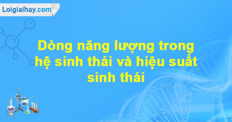 Dòng Năng Lượng Hệ Sinh Thái