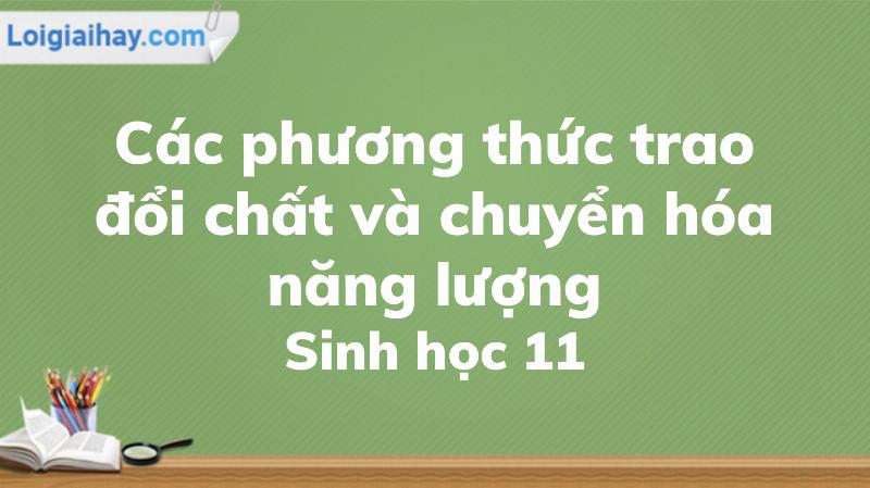 Hình thức dinh dưỡng của động vật chủ yếu là: Tự dưỡng, Dị dưỡng, Ký sinh, Cộng sinh