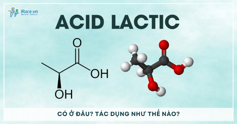 Lên men lactic trong cơ bắp