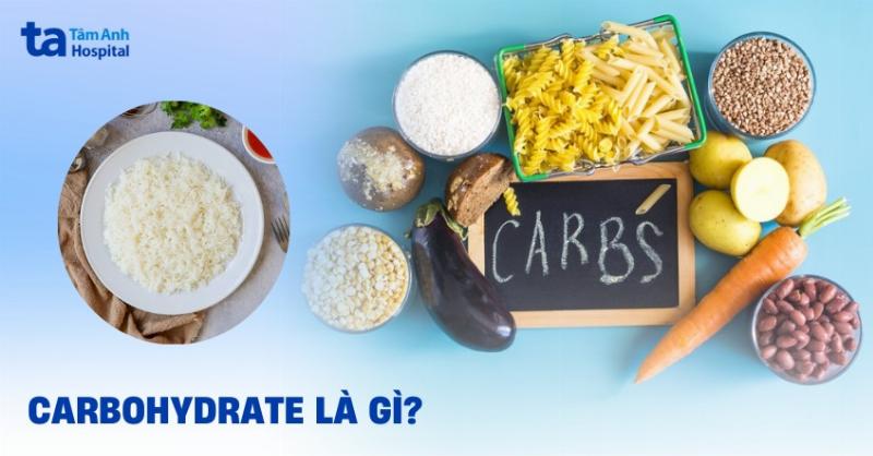 Chất Dinh dưỡng Nào Là Nguồn Chủ Yếu Cung Cấp Năng Lượng Cho Cơ Thể, Vai Trò Của Carbohydrate, Protein, Lipid, Tầm Quan Trọng Của Dinh Dưỡng Đối Với Sức Khỏe