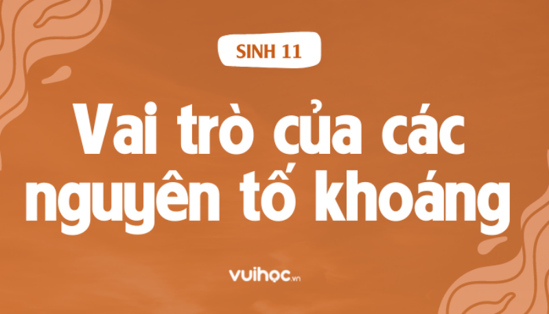 Nguyên Tố Dinh Dưỡng Khoáng Thiết Yếu Đại Lượng, Vai Trò, Nguồn Thực Phẩm, Tầm Quan Trọng