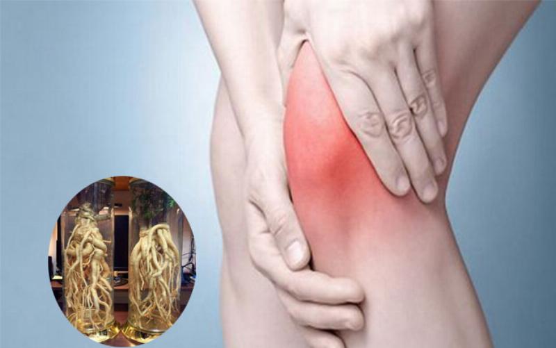 Uống Rượu Đinh Lăng Có Tốt Cho Xương Khớp Không? Lợi Ích, Tác Hại và Cách Sử Dụng