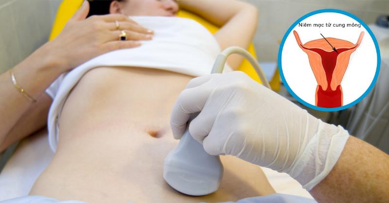 Uống Vitamin E Có Làm Dày Niêm Mạc Tử Cung? Lợi Ích, Cách Dùng, Lưu Ý