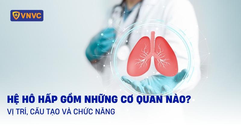 Vai trò của quá trình hô hấp trong cơ thể: Cung cấp năng lượng, Loại bỏ CO2, Duy trì cân bằng pH